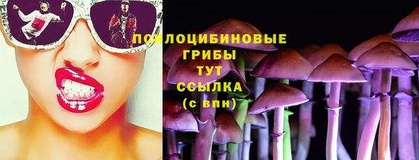 прущая мука Надым