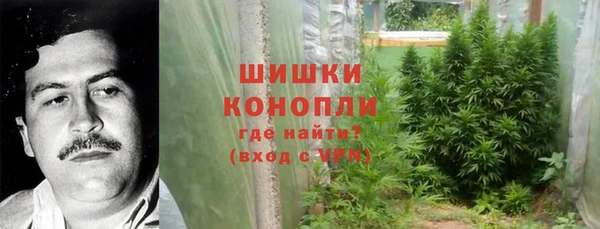 молекула духа Ахтубинск